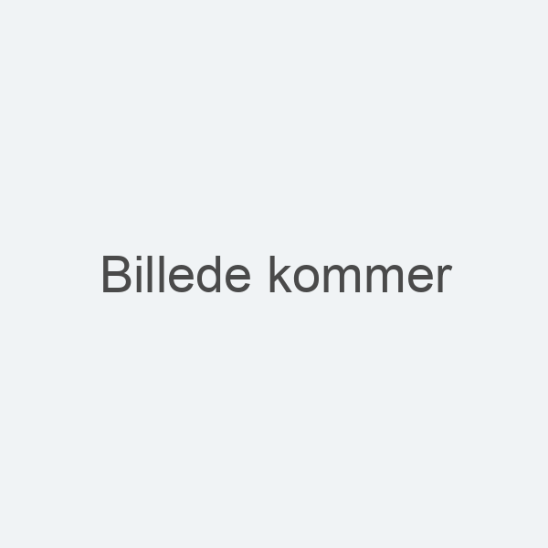 Elværket, Fr.sund, Søndag den 12. oktober 2025 kl. 15.00