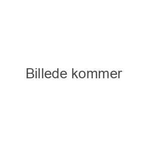 Didrik Drillepind (4-9 �r)